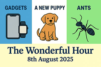 Cartoon montage featuring bananas, gadgets, Darth Vader, ants, and a playful puppy